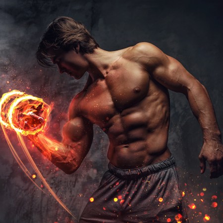 esercizi bicipiti dall'anatomia alla pratica