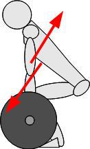 stacco da terra muscoli coinvolti - dorsale