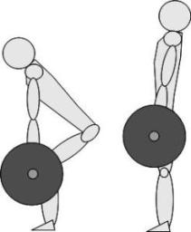 stacco rumeno muscoli coinvolti