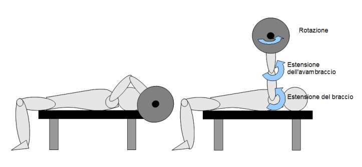 esercizi per le braccia french press