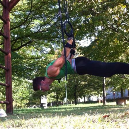 Back Lever Pulls