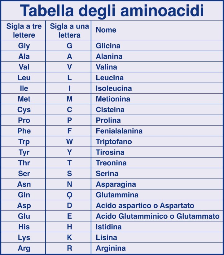 Tabella aminoacidi