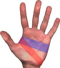 1511753_242727489239249_1554069774_n