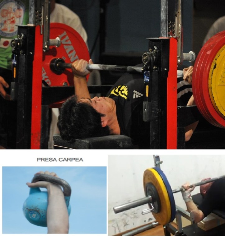 529963_284376208337646_974233564_n