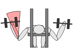 distensioni con manubri