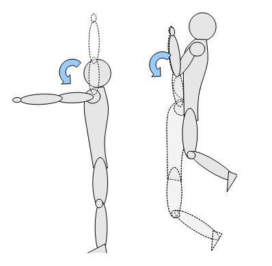 panca piana muscoli coinvolti - schiena