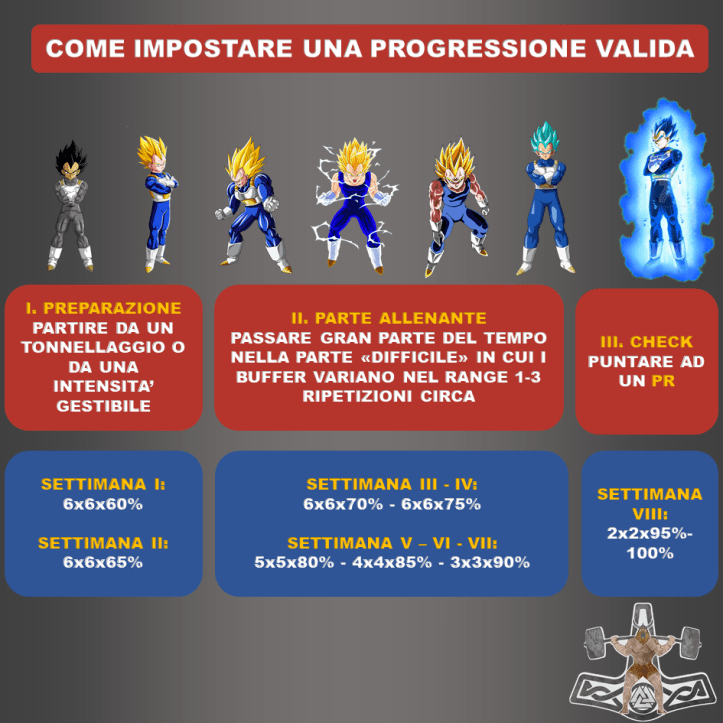 vegeta e il ciclo russo rivisitato.png